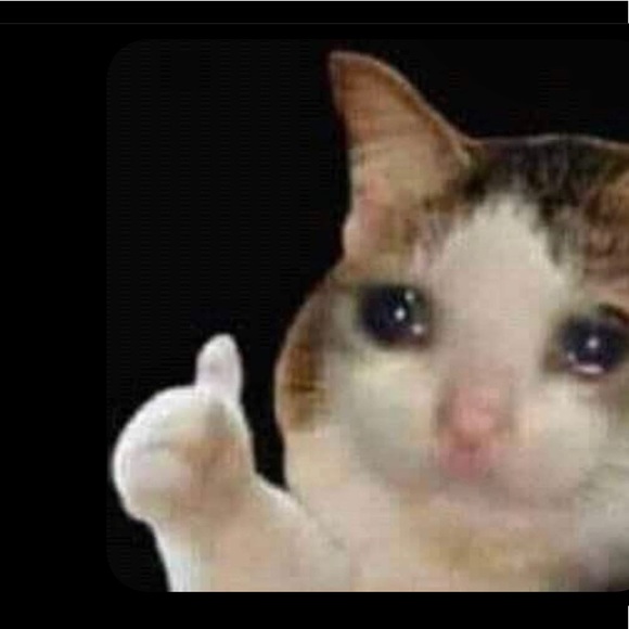 Meet your Posher, Jacqui - Picture 1 of 1